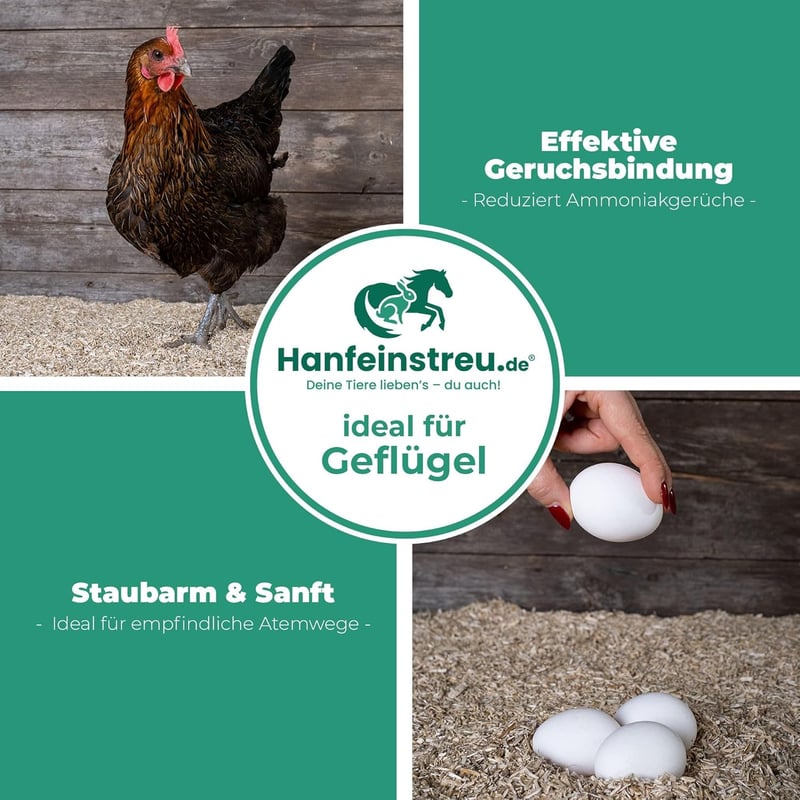 Lavendel-Hanfeinstreu für Kleintiere, Hühner und Pferde, 30 L, 100% natürlich