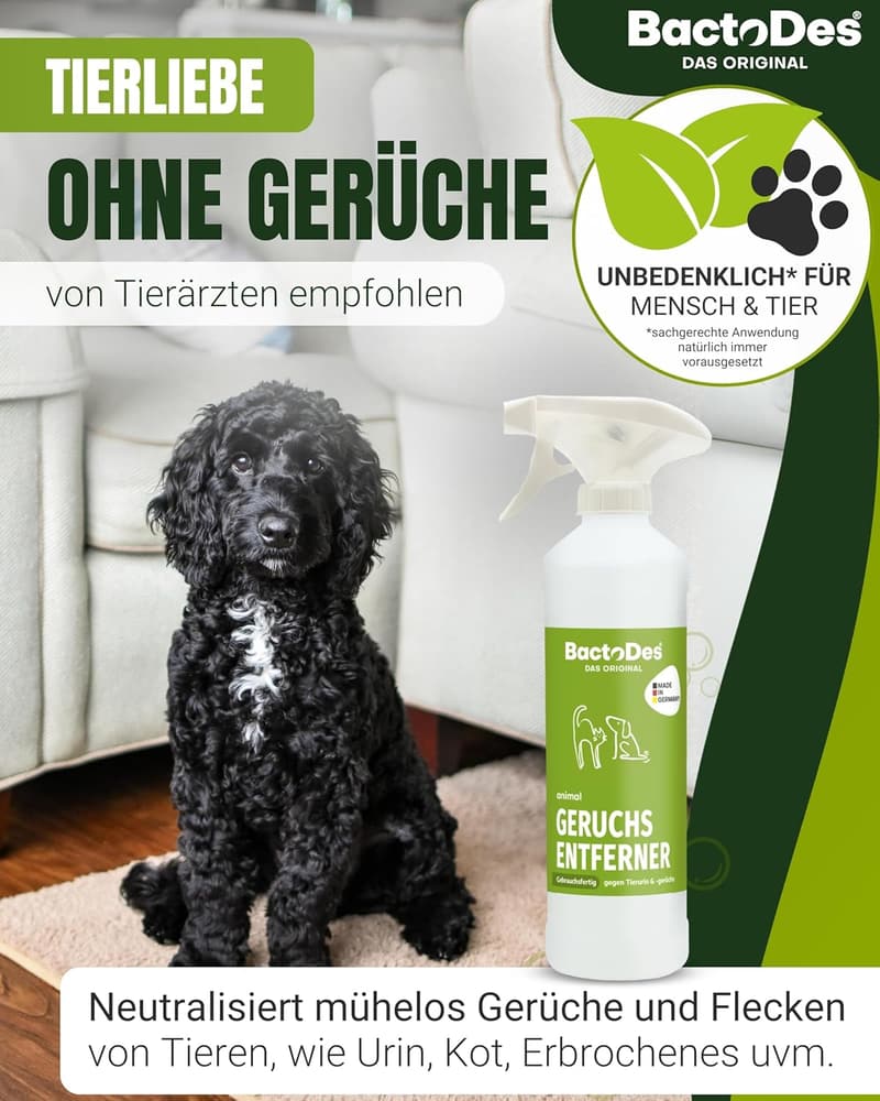 Geruchsneutralisierer Spray für Haustiere - 1l Enzymreiniger für Katzen- und Hundeurin