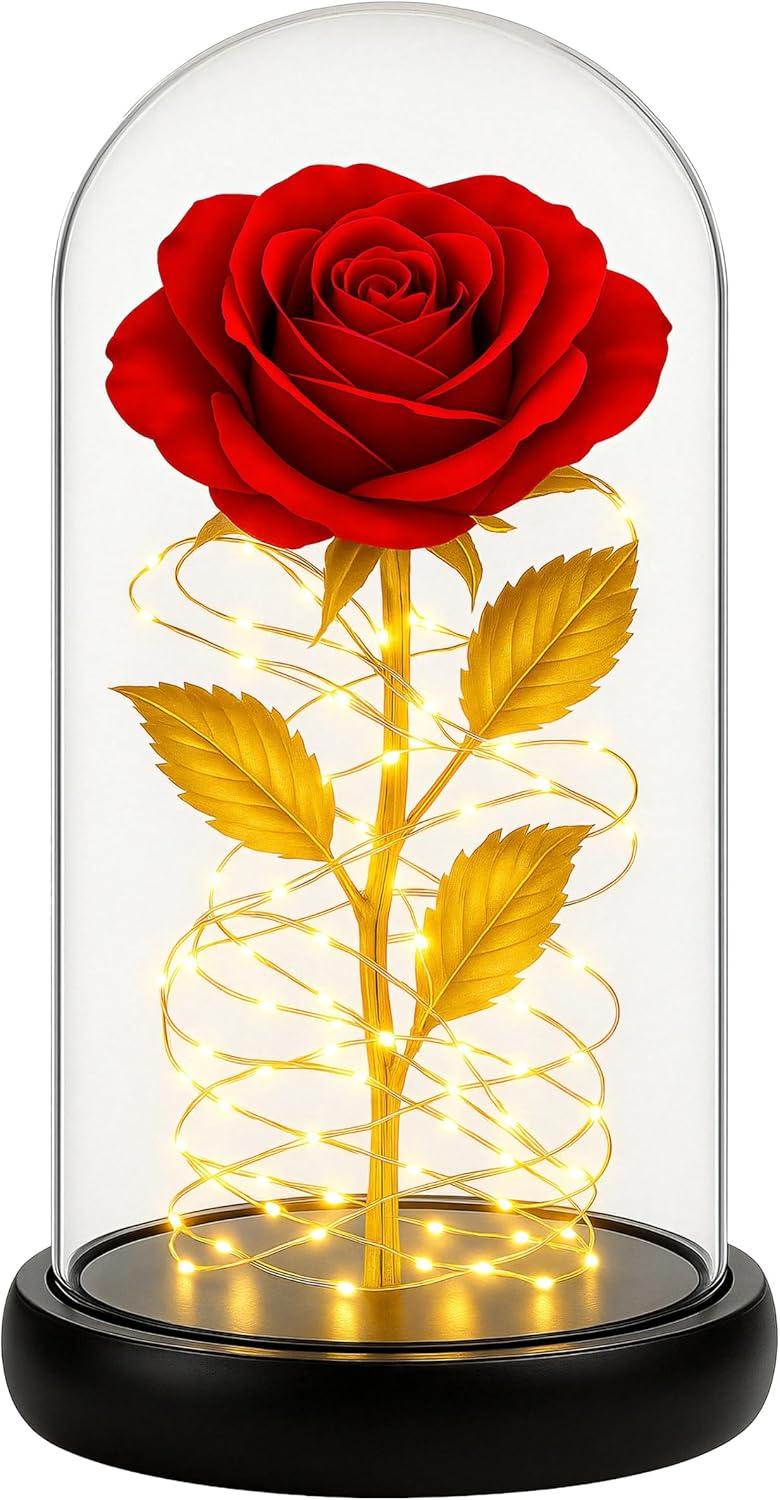 Ewige Rose im Glas mit LED für Frauen – Konservierte rote Blume, Geschenkbox