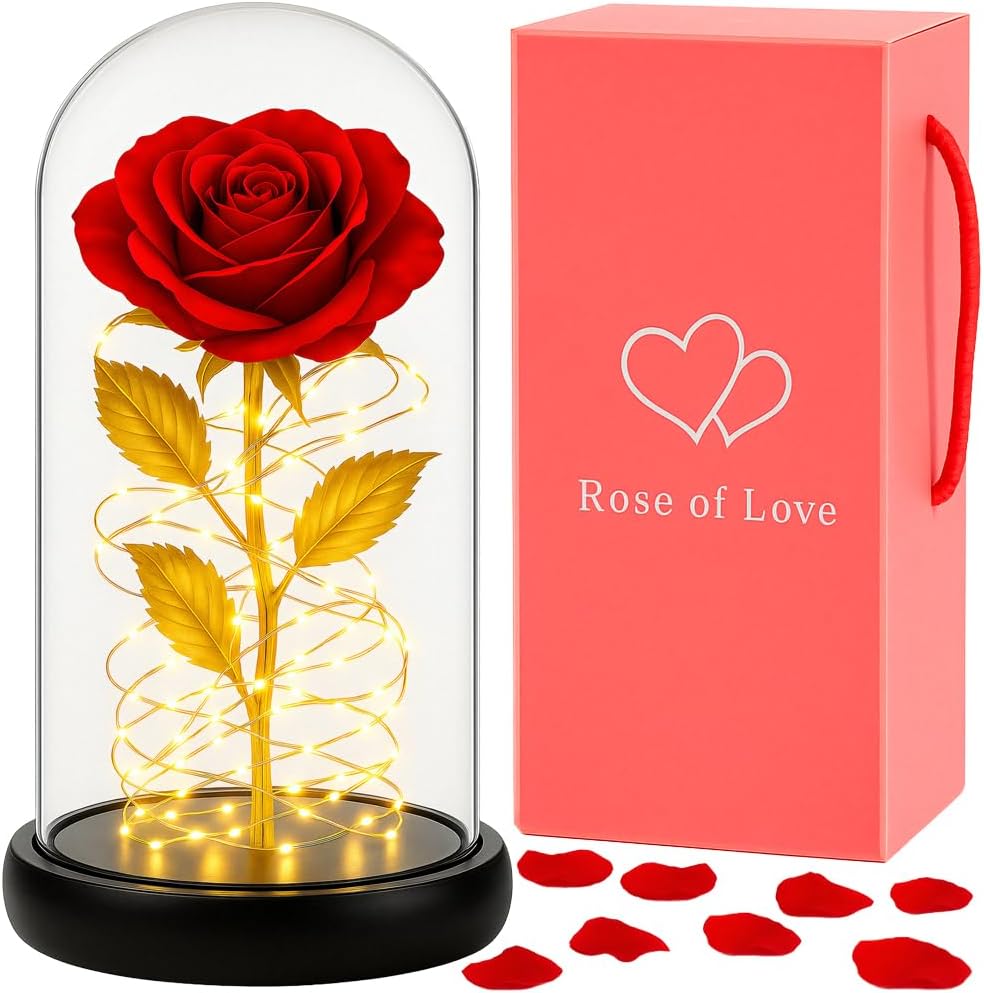 Ewige Rose im Glas mit LED für Frauen – Konservierte rote Blume, Geschenkbox