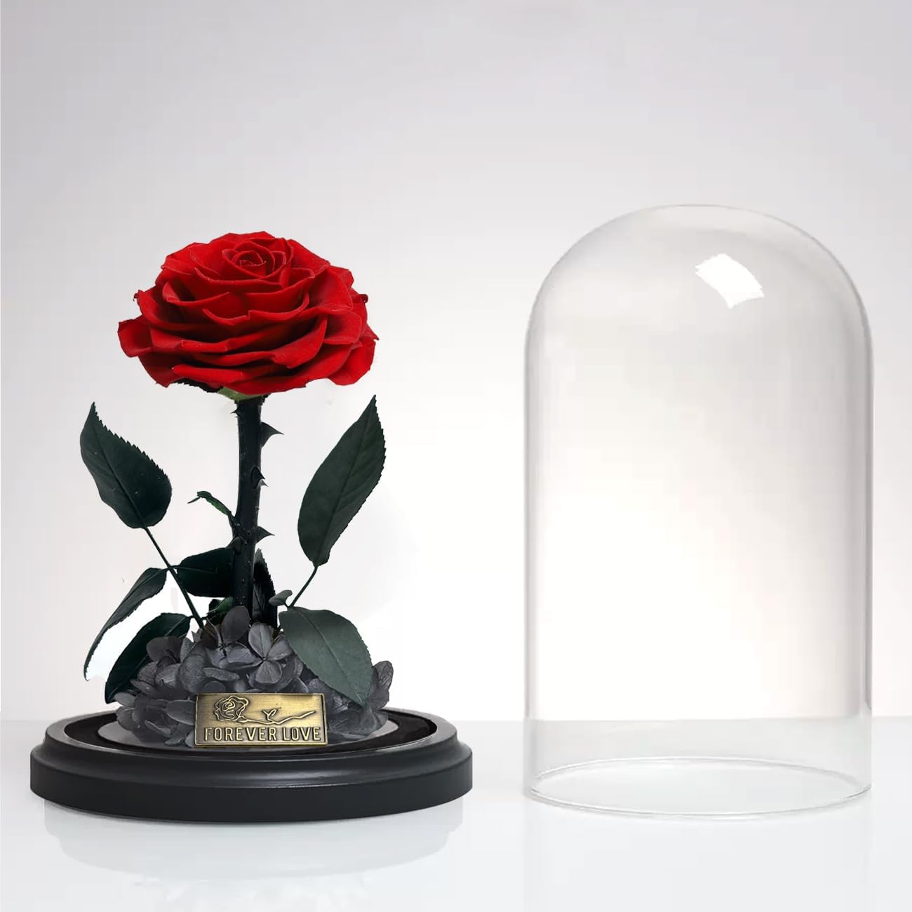 Echte Infinity Rose im Glas für Frauen – romantisches Geschenk zur Feier