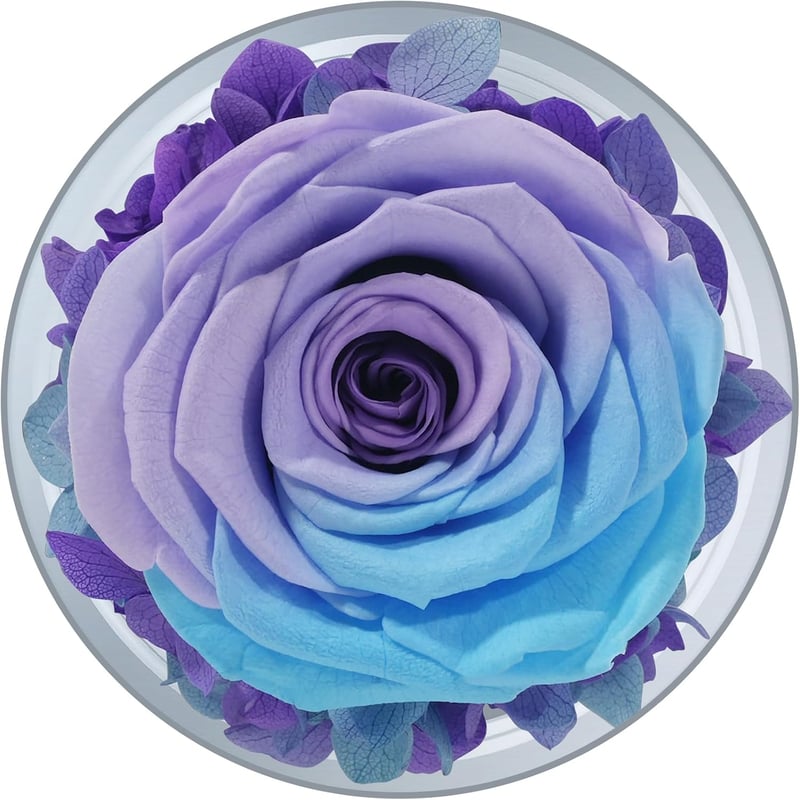 Ewige Rose im Glas - Engel Figur als Muttertagsgeschenk für Mama