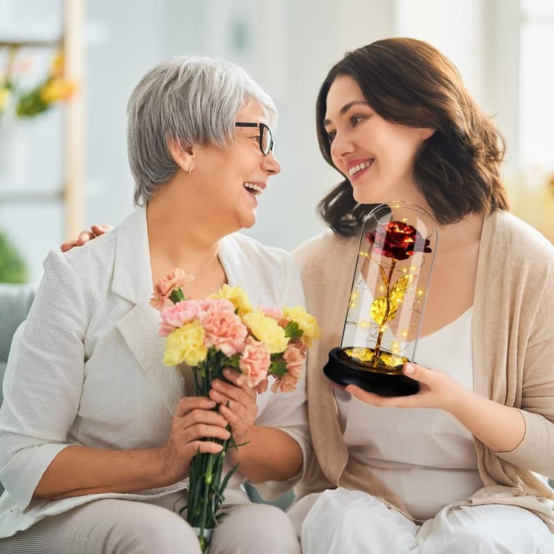Ewige Rose im Glas mit LED - Geschenk für Frauen und Mütter