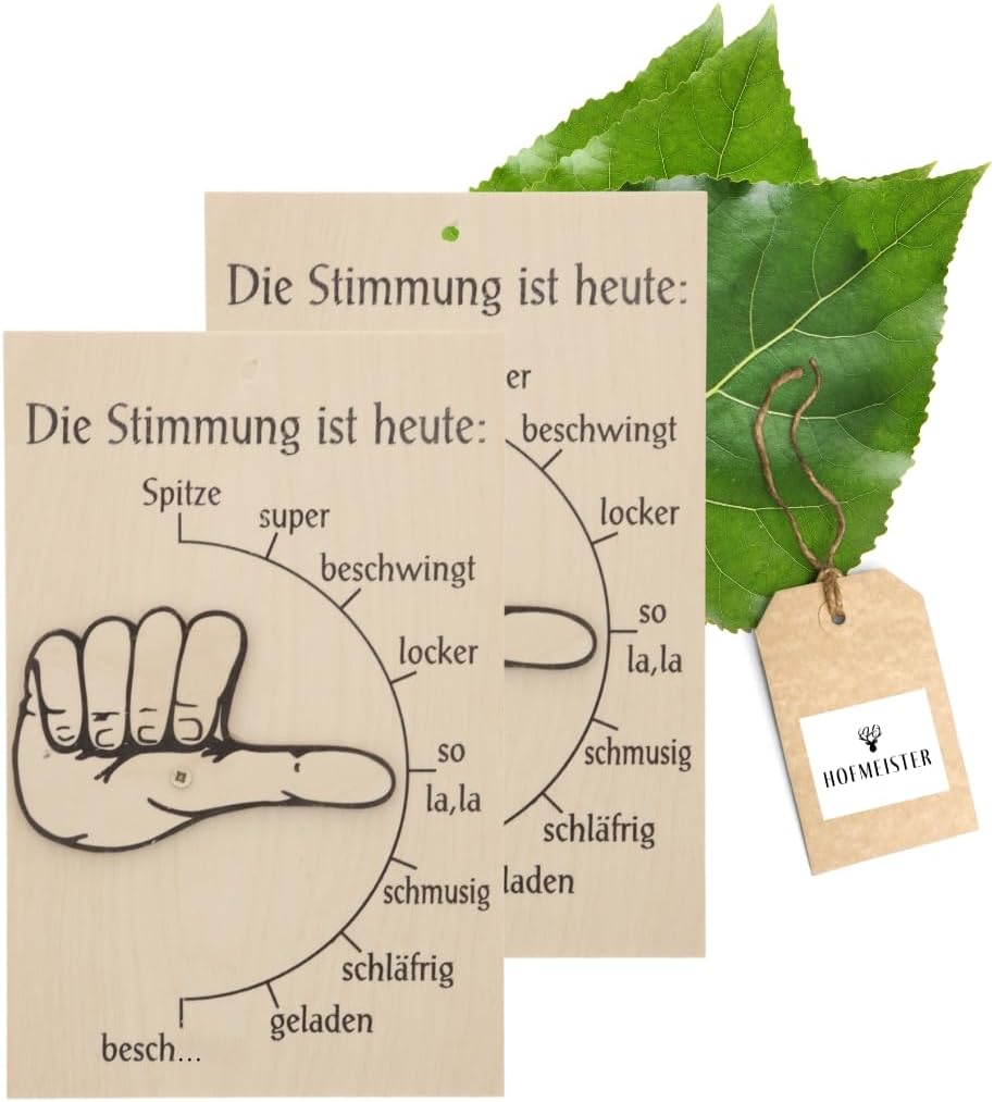 HOFMEISTER® Stimmungsbarometer - 2er Set