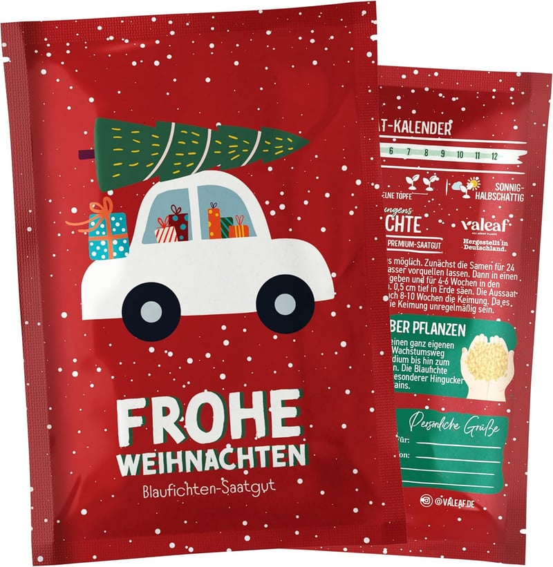 Blaufichte Samen für Weihnachtsbaum zum Pflanzen – Geschenkidee 2030