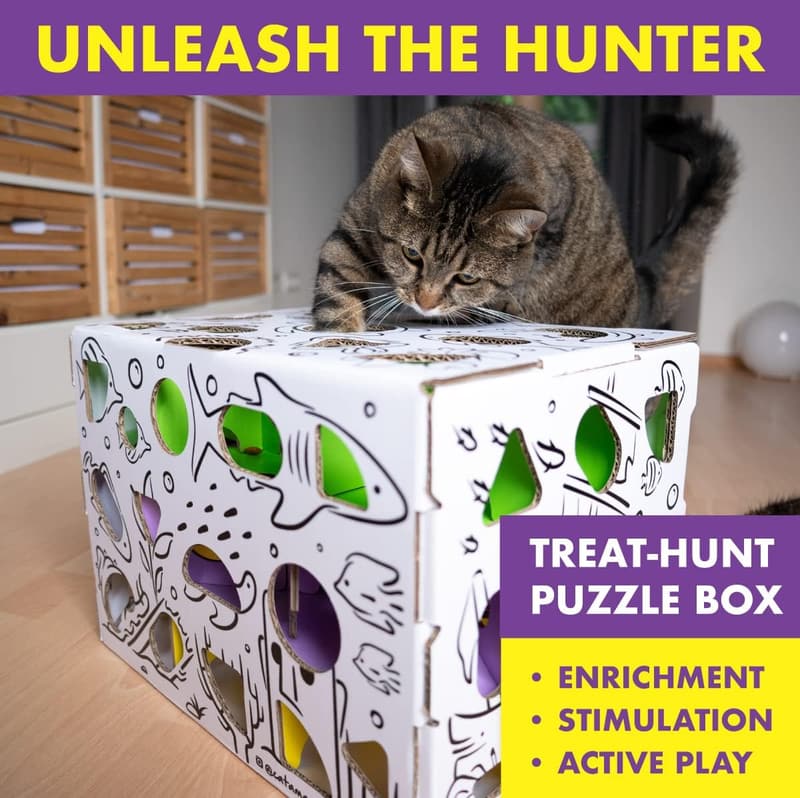 Interaktives Katzenpuzzle mit Futterlabyrinth für Indoor-Katzen