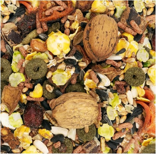 JR FARM Futtermix für Eichhörnchen 600g