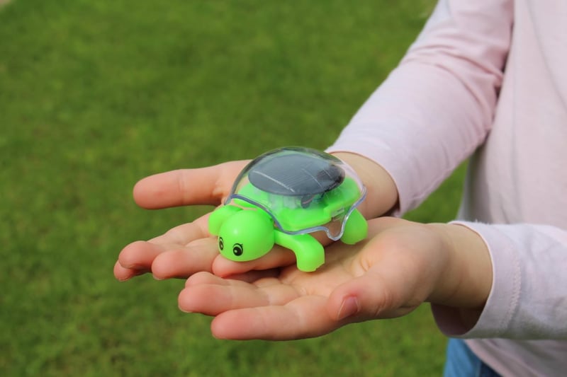 Solarbetriebene Schildkröte für Kinder – Spannendes Sonnenenergie-Experiment
