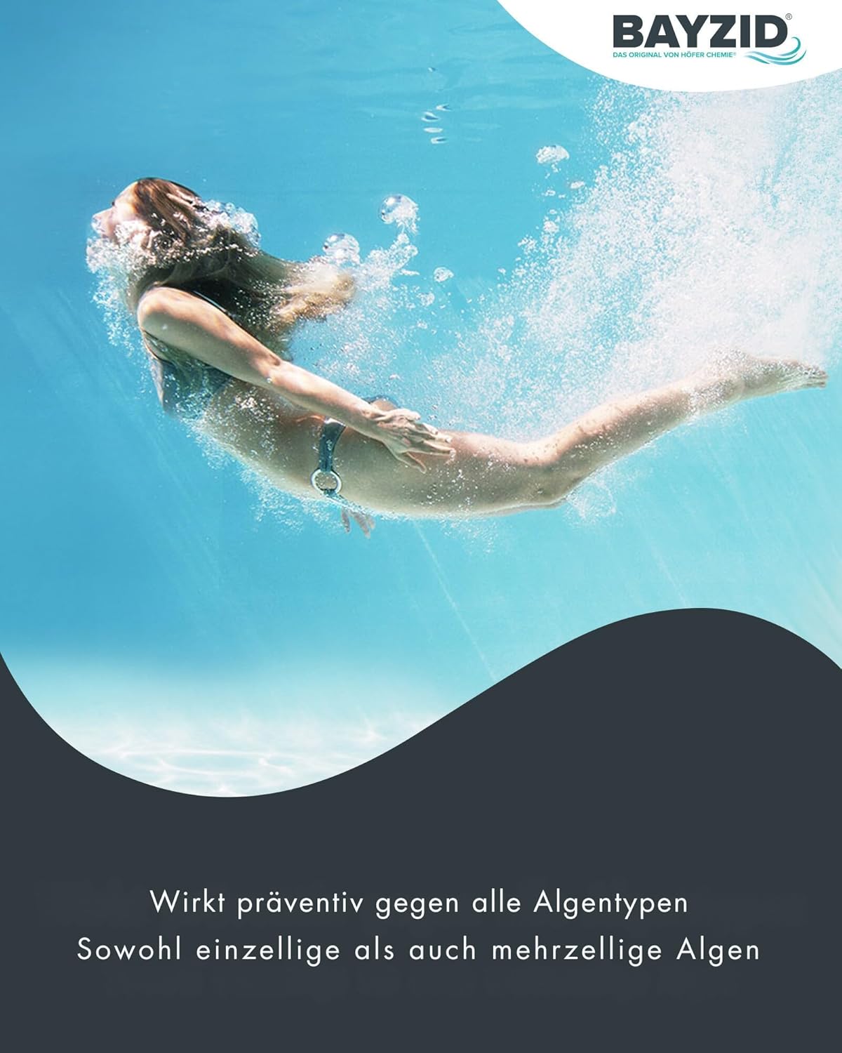 Höfer Chemie 10L Algizid für Pools – Präventiver Algen- und Bakterienschutz