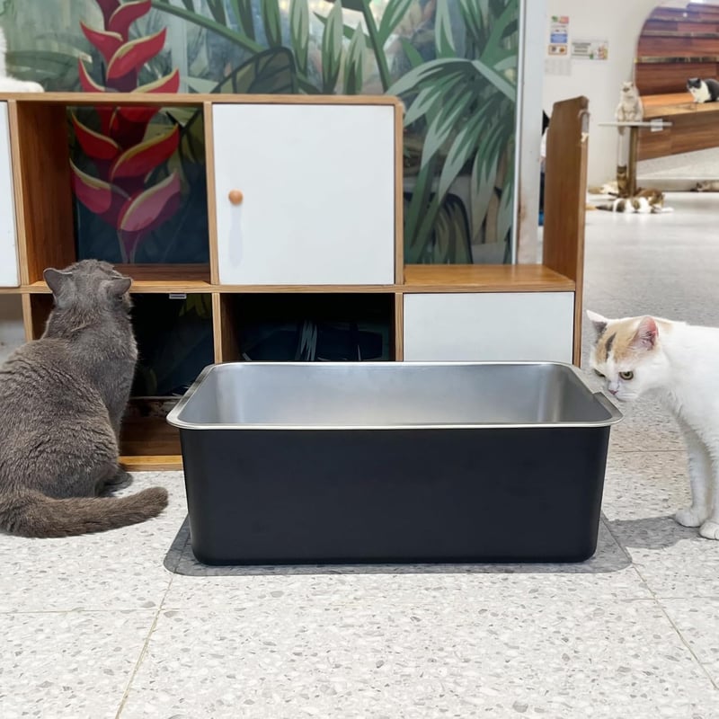 Große Edelstahl-Katzentoilette 60x40x20 cm - geruchslos & rostfrei
