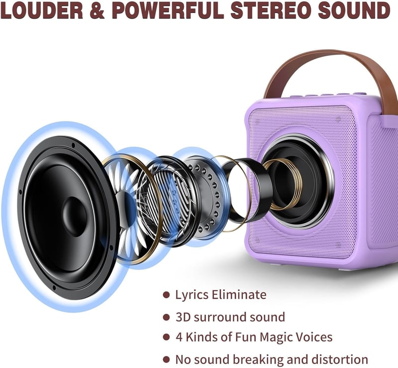 Tragbare Karaoke-Maschine mit 2 Mikrofonen und LED-Licht für Kinder 3-18 Jahre