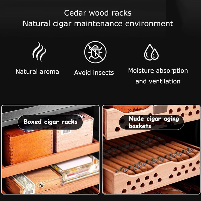 Elektrischer Zigarren-Humidor für 300 Zigarren mit Kühlung und Feuchtigkeitskontrolle