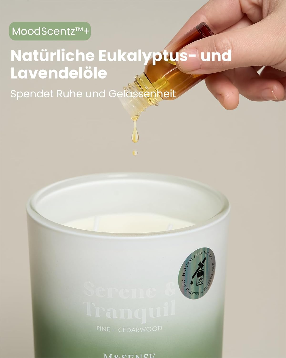 Kiefer Zedernholz Duftkerze aus Sojawachs – 80h Aromatherapie