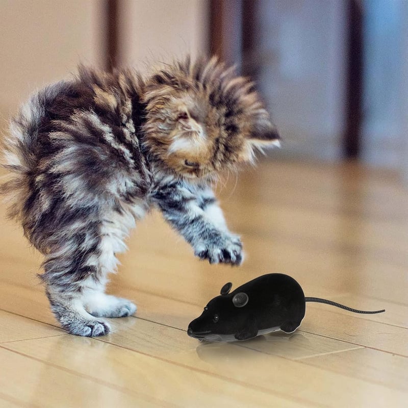 Realistisches Katzenspielzeug: Ferngesteuerte Maus aus Kunststoff