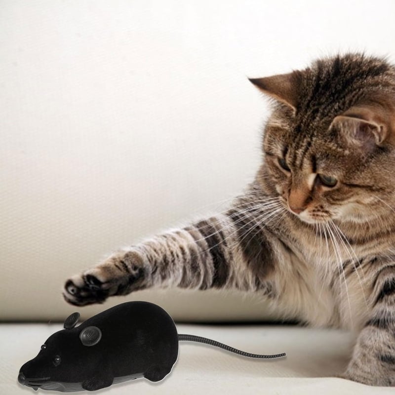 Realistisches Katzenspielzeug: Ferngesteuerte Maus aus Kunststoff