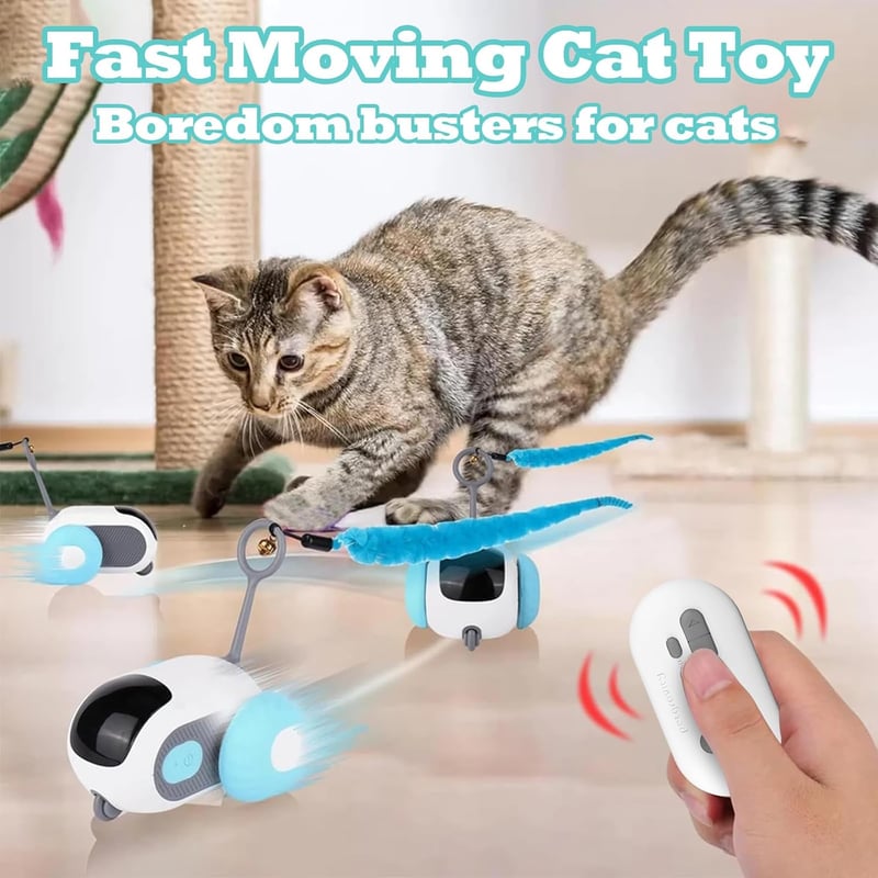 Interaktives Katzenspielzeug mit Fernbedienung - USB wiederaufladbar
