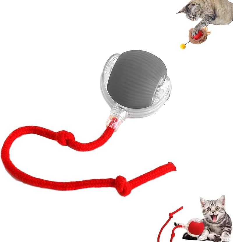 Interaktives, wiederaufladbares Katzenspielzeug mit beweglichem Ball