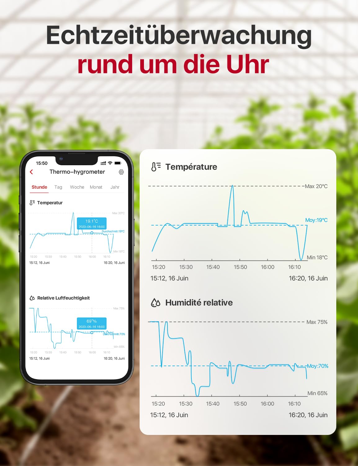 X-Sense WLAN Hygrometer mit App, Temperatur- und Feuchtigkeitsmessung, 3 Sensoren