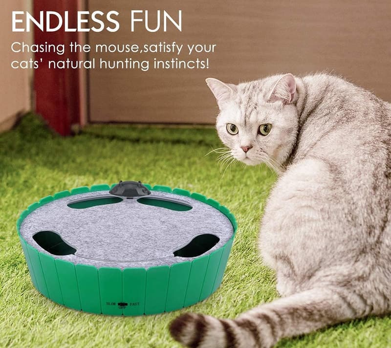 Interaktives Katzenspielzeug mit Katzenminze - Elektrische Maus in Grün