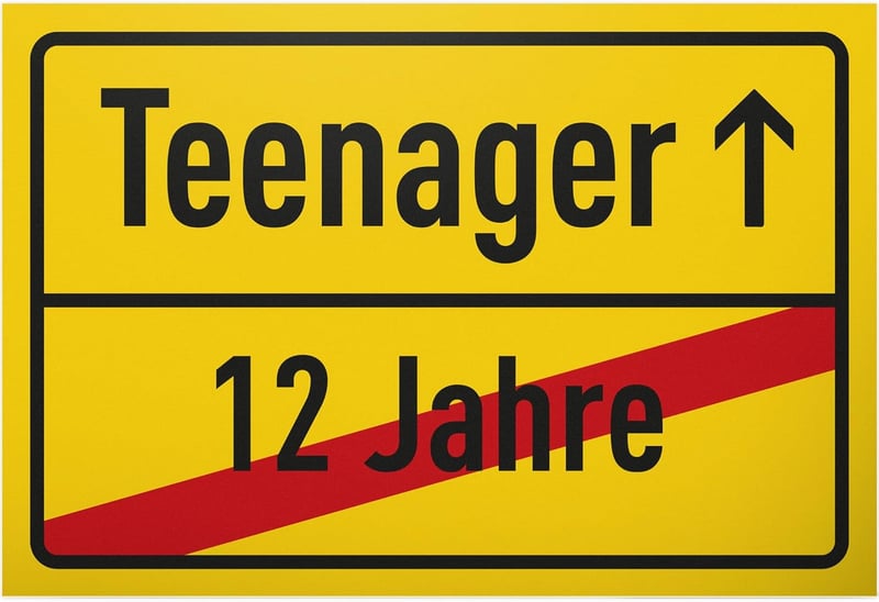 13. Geburtstag Schild 30 x 20 cm – Geschenkidee für Teenager