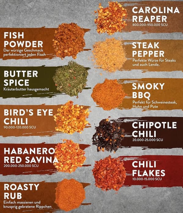 Chili & Grillgewürze Geschenkset für Männer - 10er Kombi mit 5 Grill- und 5 Chili-Gewürzen