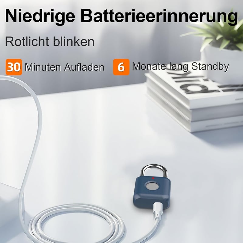 Biometrisches Fingerabdruck-Vorhängeschloss mit USB-Ladung für Schließfächer