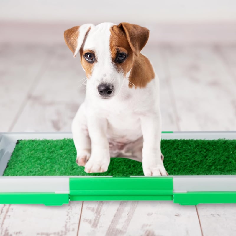 Hundeklo für Welpen aus Kunststoff, 4x Grasmatte, 5,5 x 45,5 x 33 cm