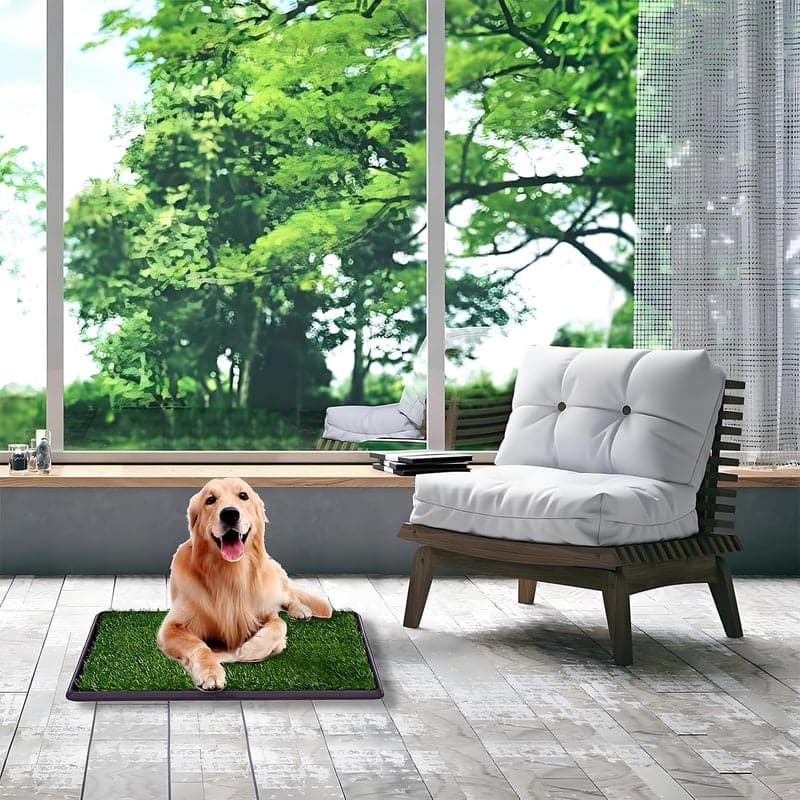 Hundetoilette mit Kunstrasen 63x50cm – Wiederverwendbar und leicht zu reinigen für Welpen