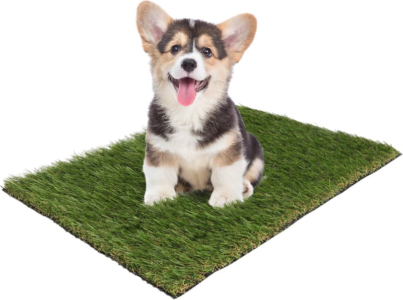 Premium Kunstrasen für Hundetoilette - 51 x 76 cm Hundetraining