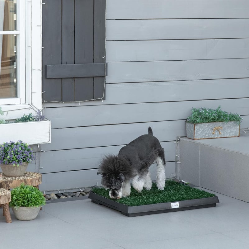 Pawhut Welpentoilette mit Kunstgras 63 x 51 cm für Hunde