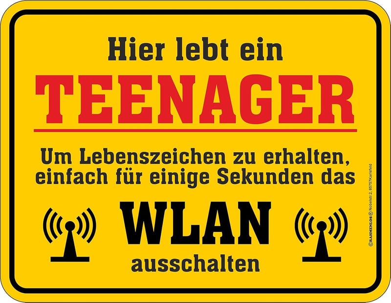 WLAN Deko-Blechschild aus Aluminium für Teenager