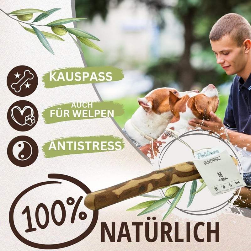Olivenholz-Kauspielzeug für große Hunde mit Lachsöl, 2er Pack