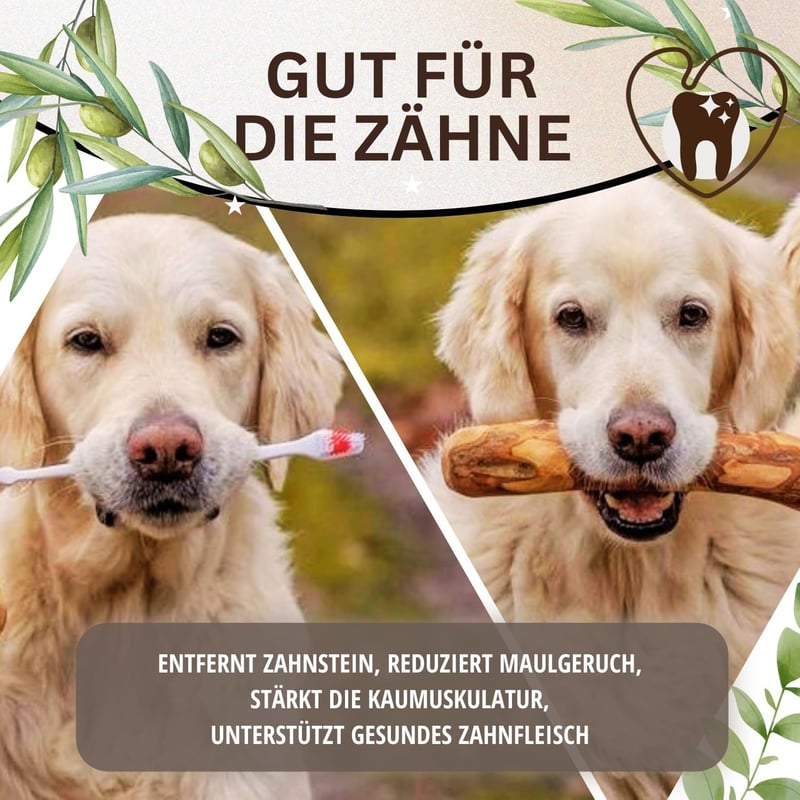 Olivenholz-Kauspielzeug für große Hunde mit Lachsöl, 2er Pack