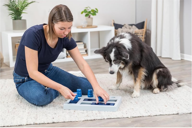TRIXIE Hundespielzeug „Chess“ – Anspruchsvolles Intelligenzspiel für Hunde, ø 40x27cm