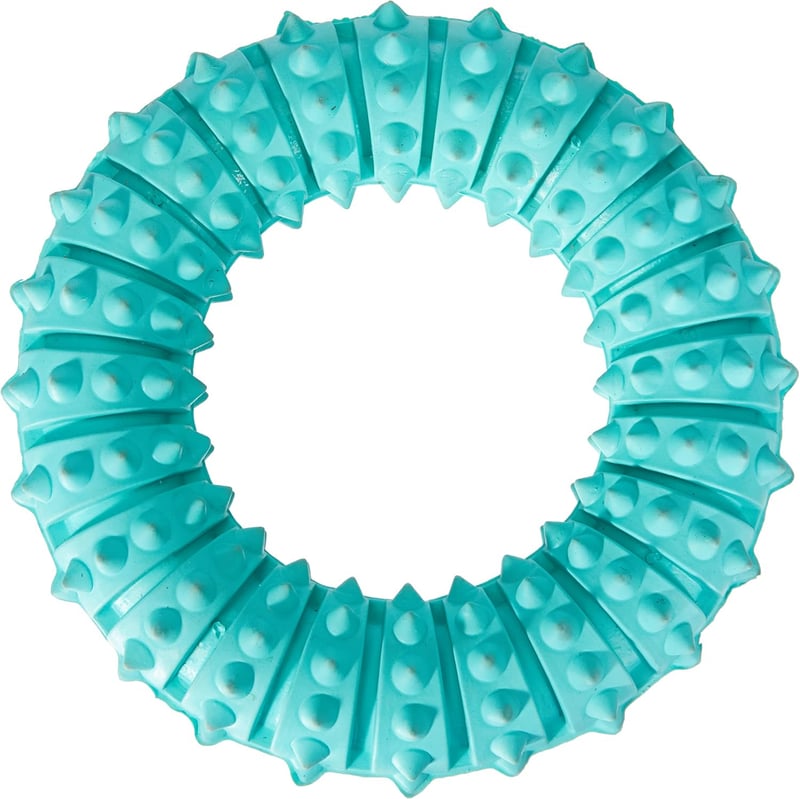 Trixie Denta Fun Ring aus Naturgummi, mintgrün, Ø 12 cm