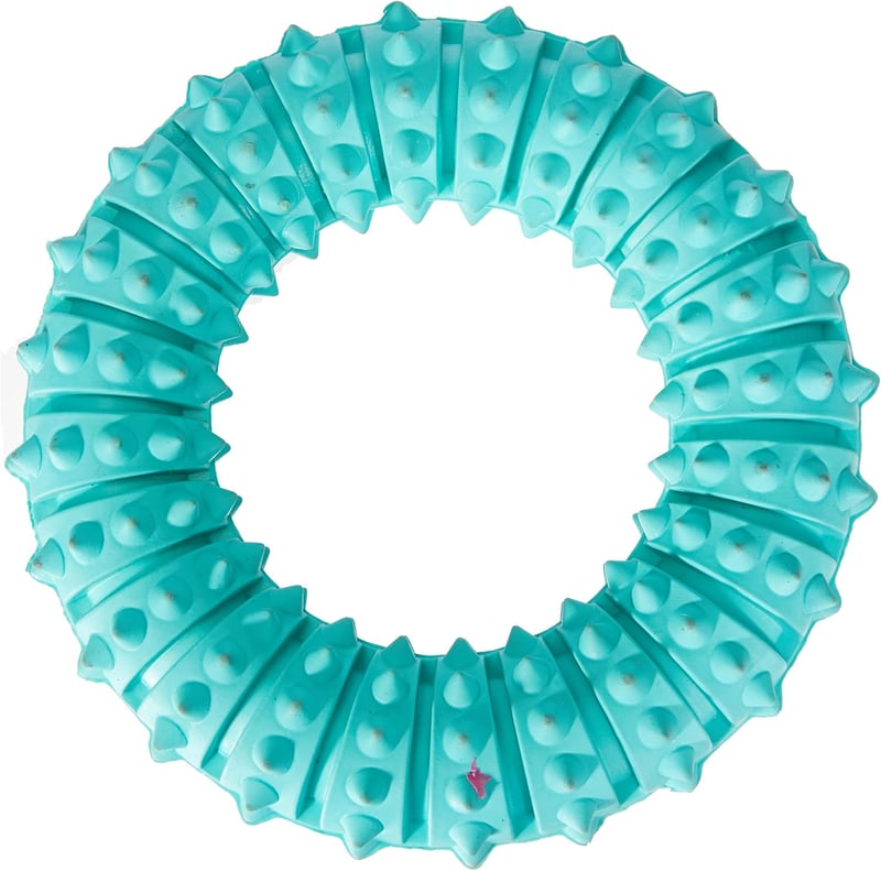 Trixie Denta Fun Ring aus Naturgummi, mintgrün, Ø 12 cm