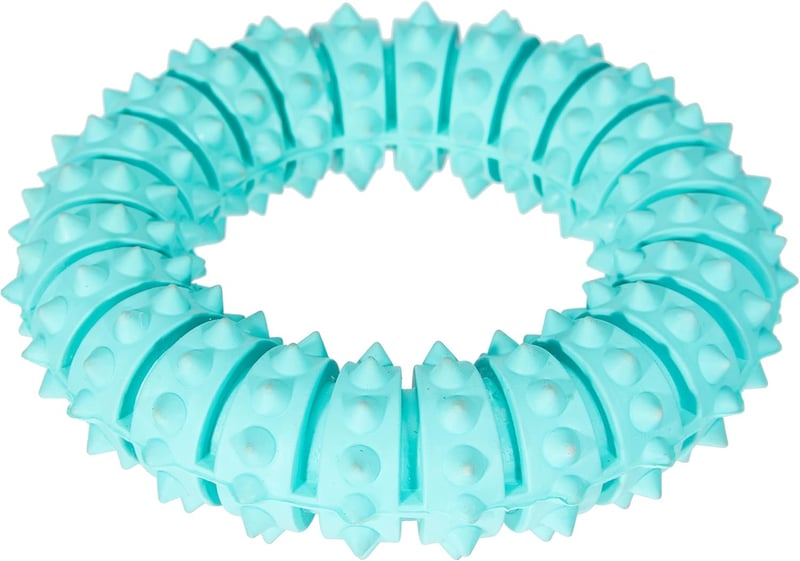 Trixie Denta Fun Ring aus Naturgummi, mintgrün, Ø 12 cm