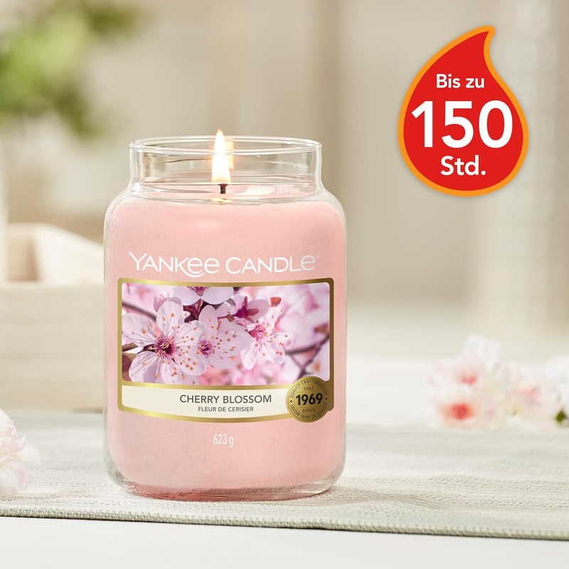 Yankee Candle Duftkerze Cherry Blossom | 150 Stunden Brenndauer | Geschenk für Frauen