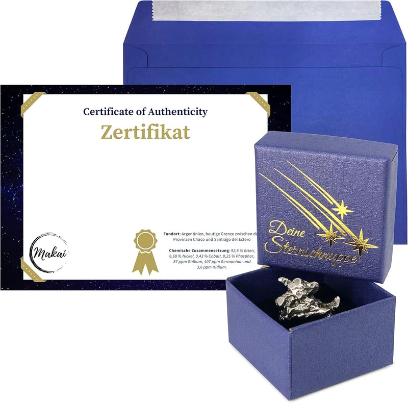 Echter Campo del Cielo Meteorit mit Echtheits-Zertifikat und Box