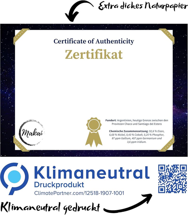 Echter Campo del Cielo Meteorit mit Echtheits-Zertifikat und Box