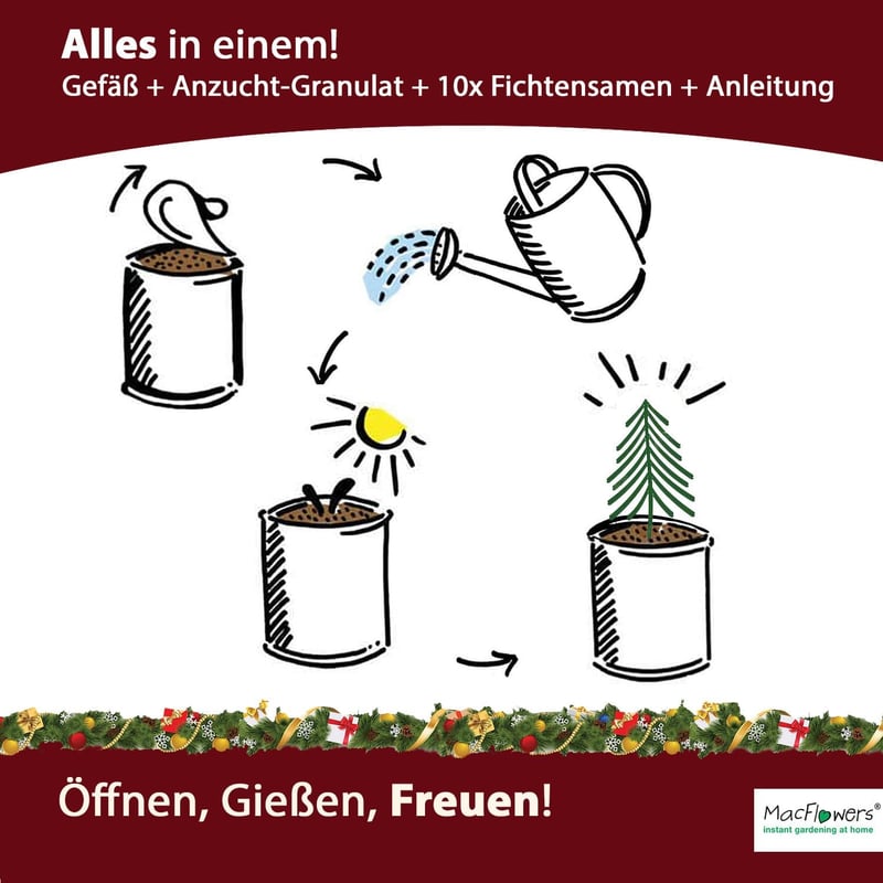 Weihnachtsbaum-Anzuchtset in der Dose für Wichteln und Geschenke