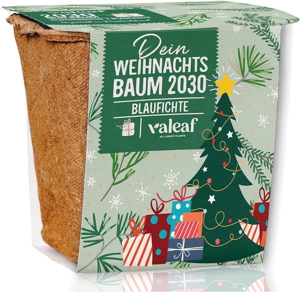 Weihnachtsbaum Anzucht Set – Geschenkidee für Gartenfreunde