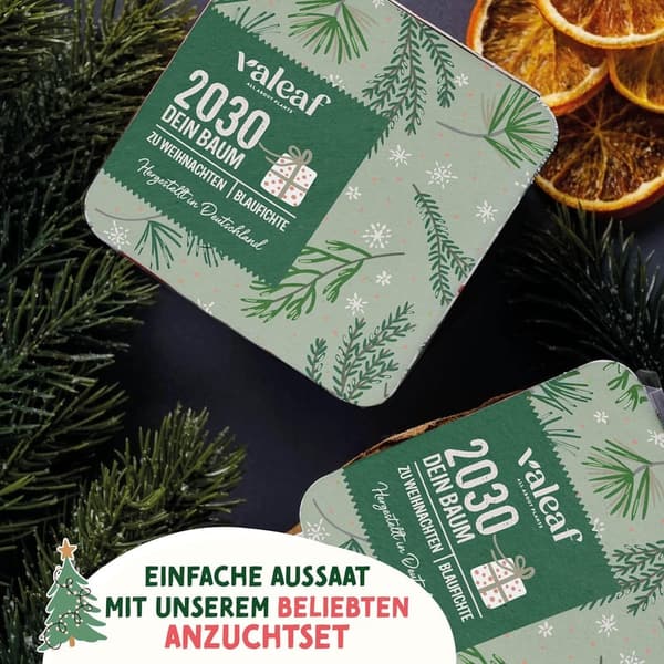 Weihnachtsbaum Anzucht Set – Geschenkidee für Gartenfreunde