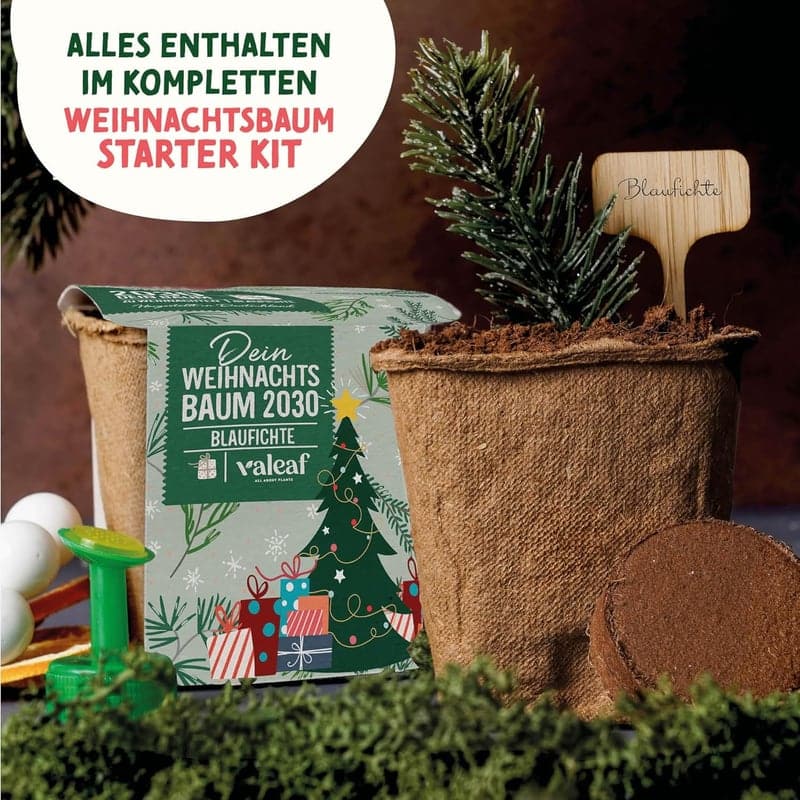 Weihnachtsbaum Anzucht Set – Geschenkidee für Gartenfreunde