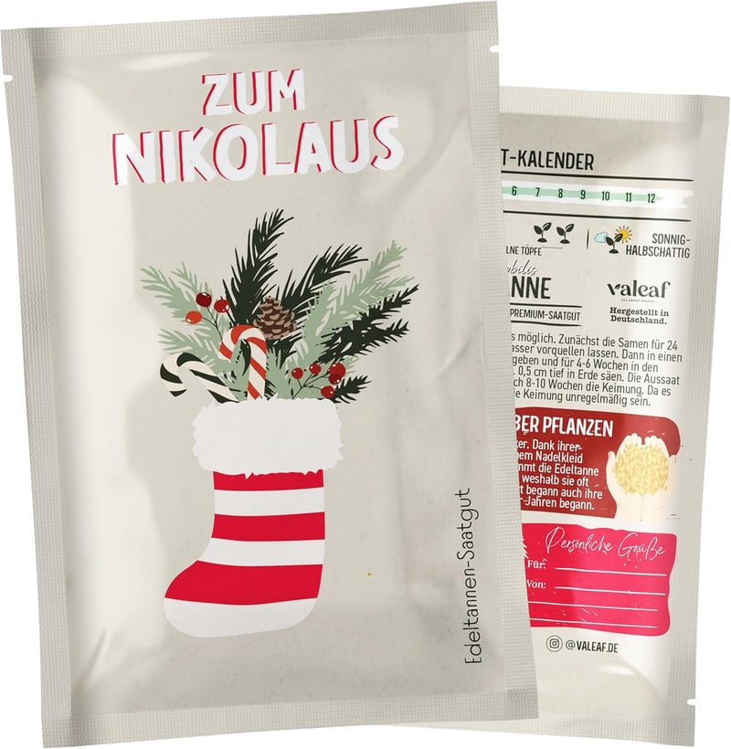 Edeltanne Samen für Weihnachten – Pflanze deinen Baum 2030