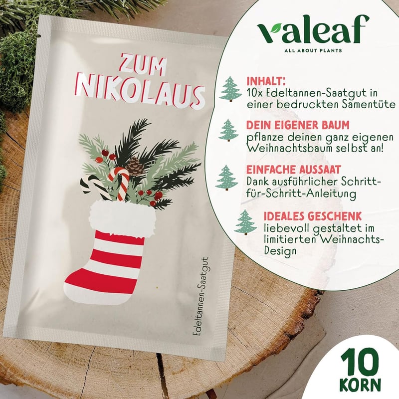 Edeltanne Samen für Weihnachten – Pflanze deinen Baum 2030