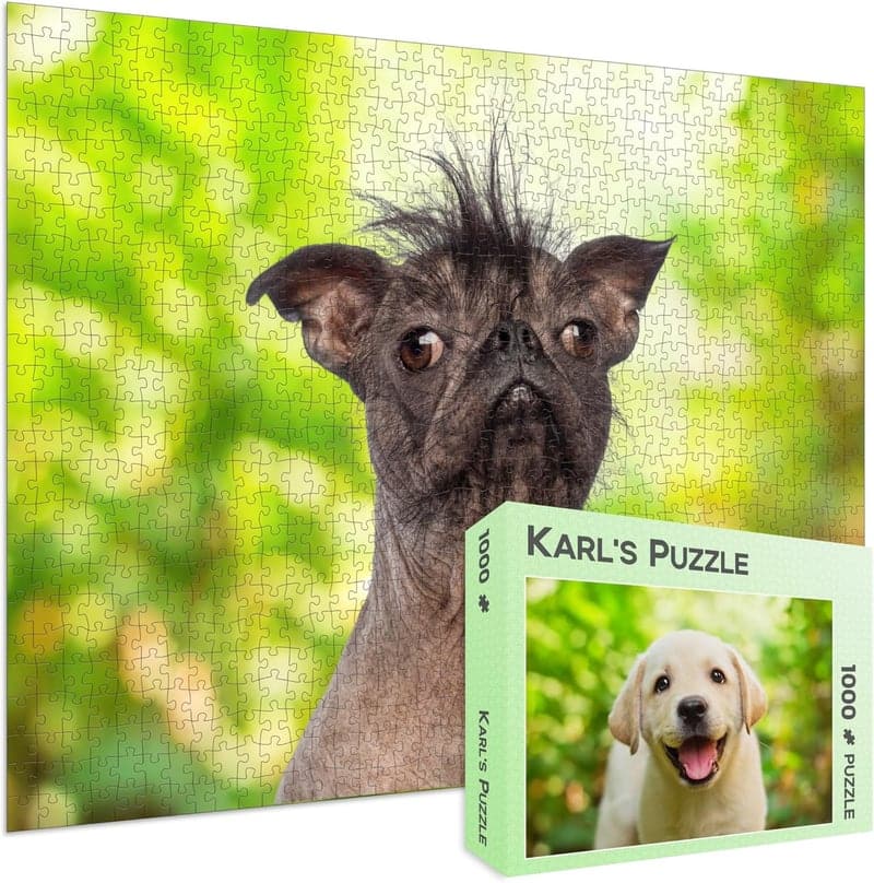 Lustiges Scherzgeschenk: 1000 Teile Hundepuzzle im Kartonlook