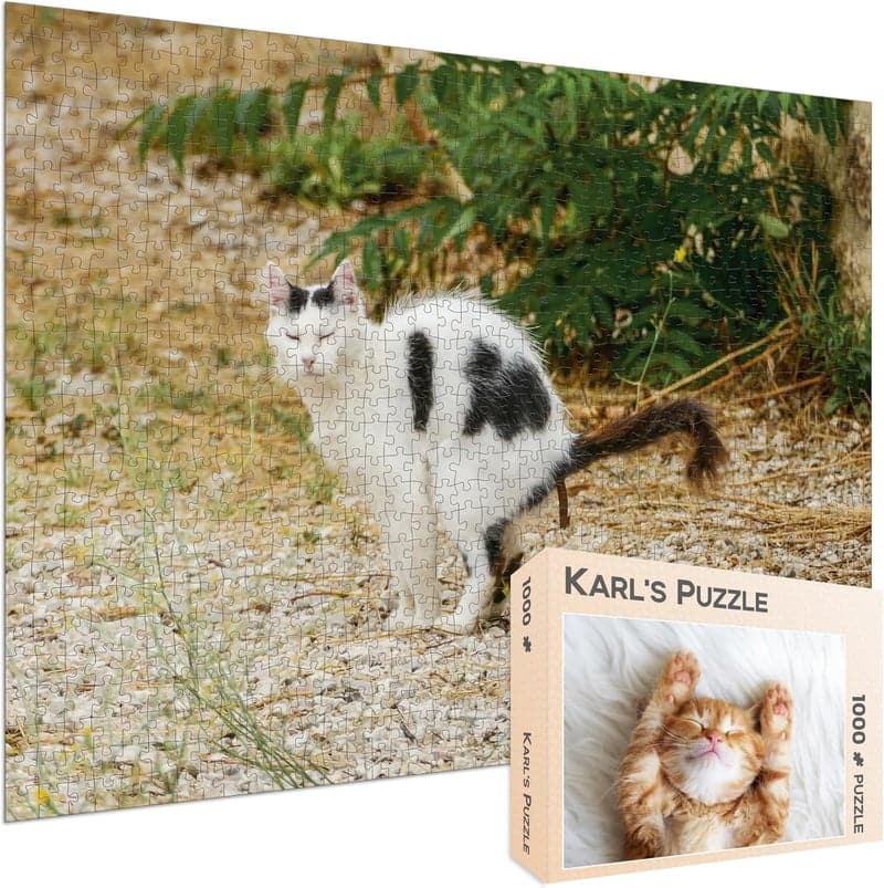 Lustiges 1000 Teile Scherzpuzzle Kätzchen im Kartonmotiv
