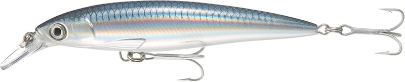 Rapala X-Rap Saltwater Kunstköder für große Raubfische
