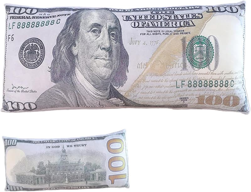 100 Dollar Dekokissen aus Plüsch für Wohnzimmer und Schlafzimmer